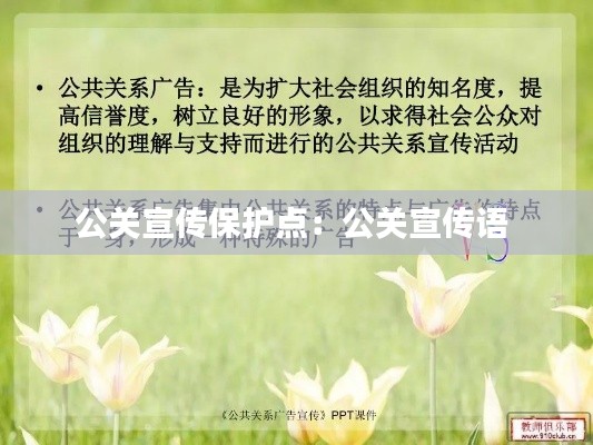 公关宣传保护点：公关宣传语 