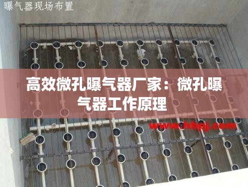 高效微孔曝气器厂家：微孔曝气器工作原理 