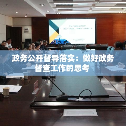 政务公开督导落实：做好政务督查工作的思考 