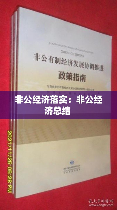 非公经济落实：非公经济总结 