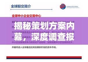 揭秘策划方案内幕，深度调查报道范文全解析