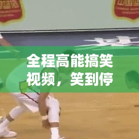 全程高能搞笑视频，笑到停不下来！
