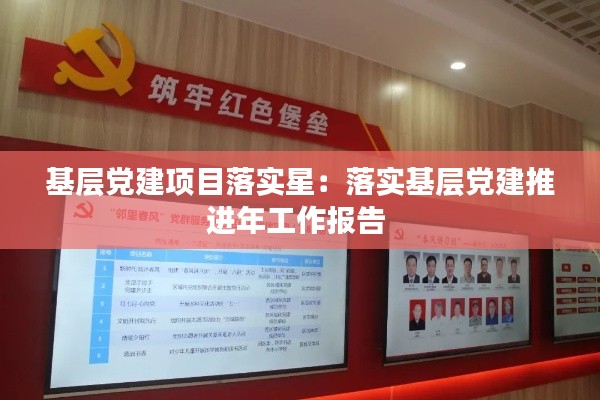基层党建项目落实星：落实基层党建推进年工作报告 