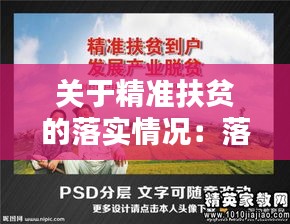 关于精准扶贫的落实情况：落实精准扶贫工作报告 
