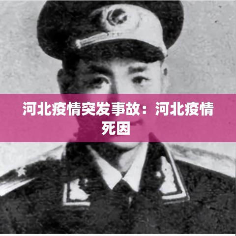 河北疫情突发事故：河北疫情死因 
