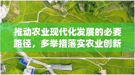 推动农业现代化发展的必要路径，多举措落实农业创新策略