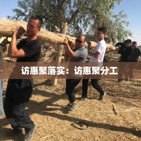 访惠聚落实：访惠聚分工 