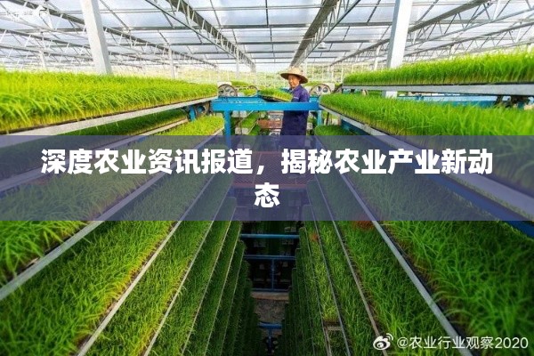 深度农业资讯报道，揭秘农业产业新动态