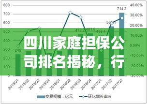 四川家庭担保公司排名揭秘，行业深度分析与前景展望