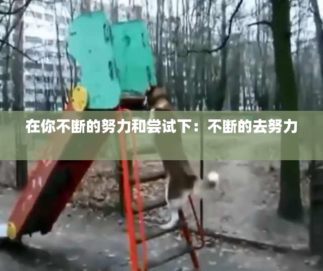 只争朝夕 第2页
