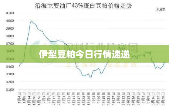 伊犁豆粕今日行情速递