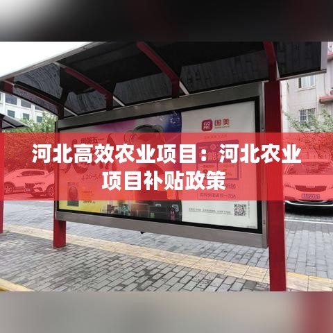 河北高效农业项目：河北农业项目补贴政策 