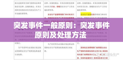 突发事件一般原则：突发事件原则及处理方法 