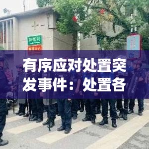 有序应对处置突发事件：处置各类突发事件 