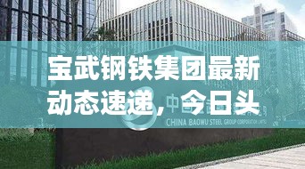 宝武钢铁集团最新动态速递，今日头条重磅消息！