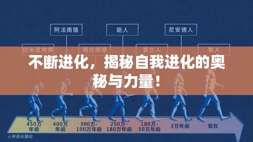 不断进化，揭秘自我进化的奥秘与力量！