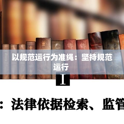 以规范运行为准绳：坚持规范运行 
