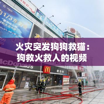 技术服务 第104页
