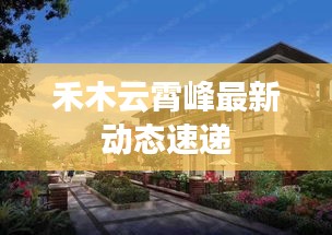 禾木云霄峰最新动态速递
