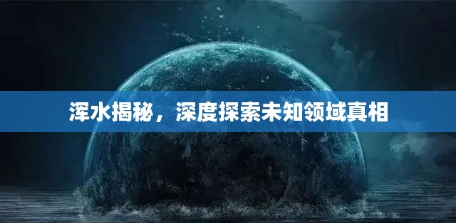浑水揭秘，深度探索未知领域真相
