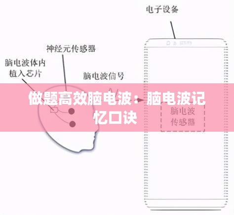 做题高效脑电波：脑电波记忆口诀 
