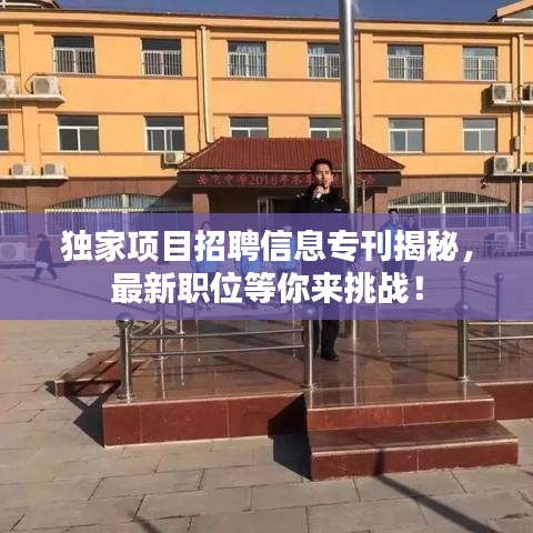 独家项目招聘信息专刊揭秘，最新职位等你来挑战！