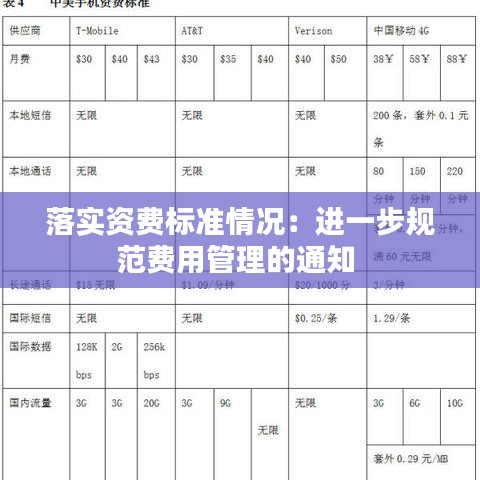落实资费标准情况：进一步规范费用管理的通知 