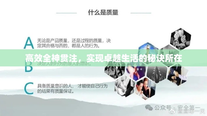 高效全神贯注，实现卓越生活的秘诀所在