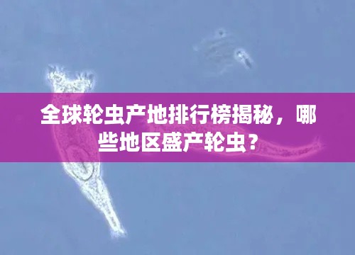全球轮虫产地排行榜揭秘，哪些地区盛产轮虫？