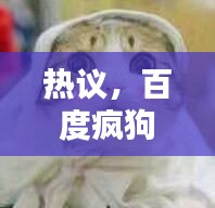 热议，百度疯狗图片头像，独特视觉体验大揭秘！