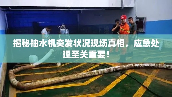 揭秘抽水机突发状况现场真相，应急处理至关重要！