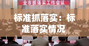 标准抓落实：标准落实情况 