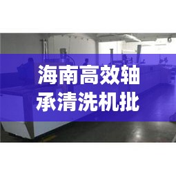 海南高效轴承清洗机批发：轴承清洗设备 