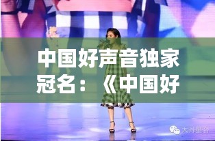 中国好声音独家冠名：《中国好声音》冠军 