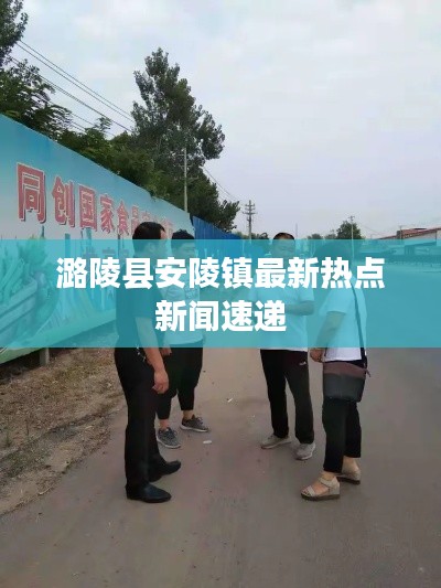 潞陵县安陵镇最新热点新闻速递