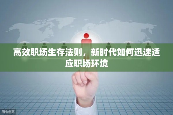 高效职场生存法则，新时代如何迅速适应职场环境