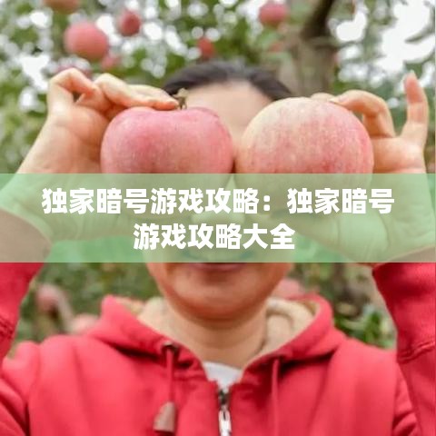 独家暗号游戏攻略：独家暗号游戏攻略大全 