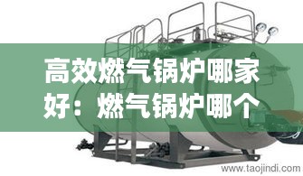高效燃气锅炉哪家好：燃气锅炉哪个牌子最好 