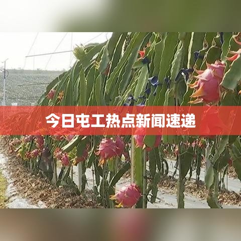 今日屯工热点新闻速递