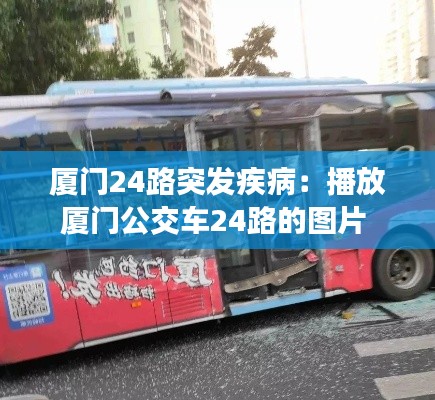 厦门24路突发疾病：播放厦门公交车24路的图片 