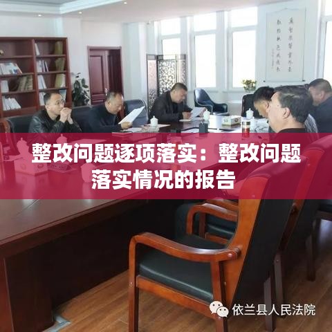 整改问题逐项落实：整改问题落实情况的报告 