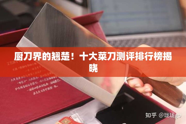 厨刀界的翘楚！十大菜刀测评排行榜揭晓