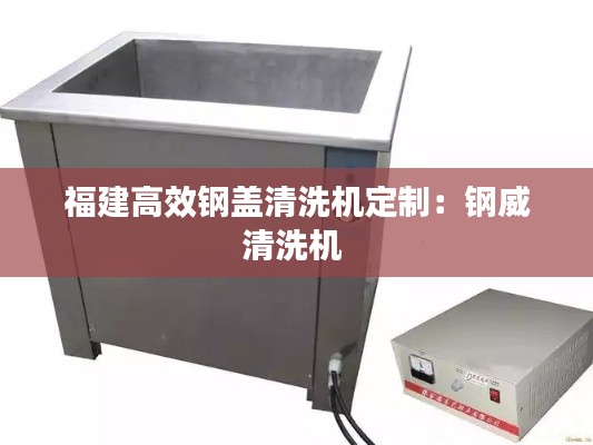 福建高效钢盖清洗机定制：钢威清洗机 