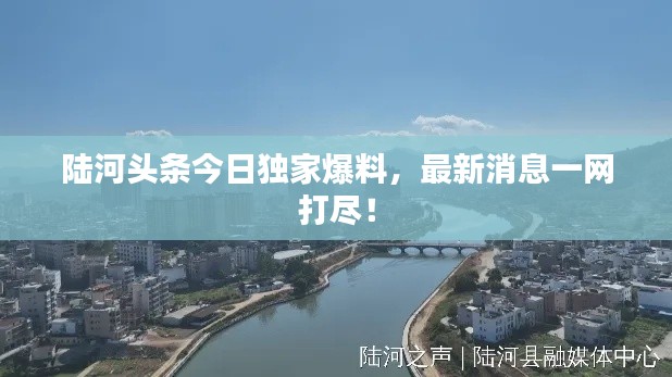 陆河头条今日独家爆料，最新消息一网打尽！