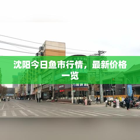 沈阳今日鱼市行情，最新价格一览