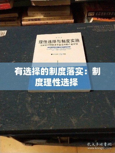 有选择的制度落实：制度理性选择 