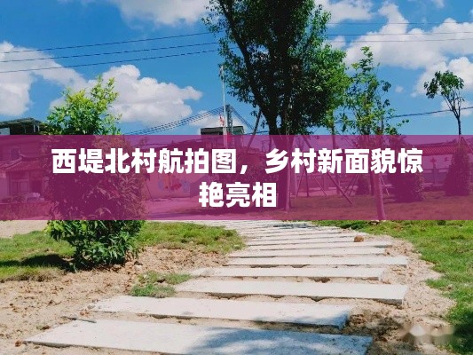 西堤北村航拍图，乡村新面貌惊艳亮相