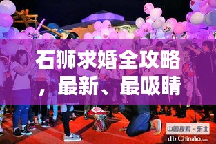 石狮求婚全攻略，最新、最吸睛的浪漫计划
