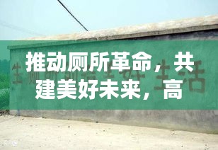 推动厕所革命，共建美好未来，高效高质引领新生活