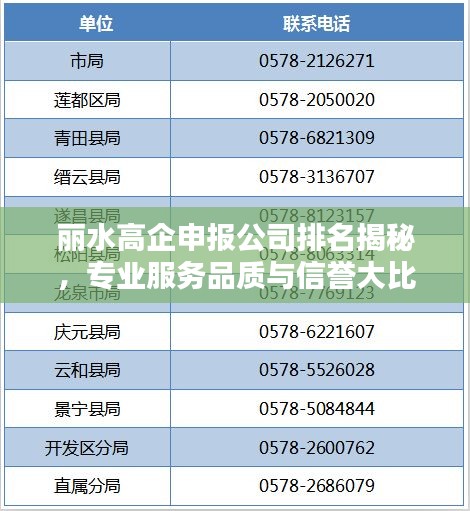 丽水高企申报公司排名揭秘，专业服务品质与信誉大比拼！
